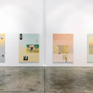 Sara Naim, Installation language
