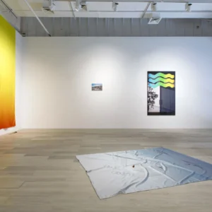 sara-naim-12-sara-naim_rosetinted-installation