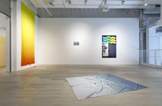 sara-naim-12-sara-naim_rosetinted-installation